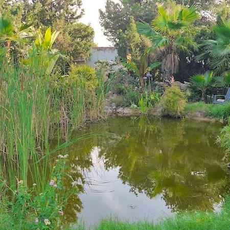 2 Villa