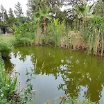 2 Βίλα San Vicente Raspeig