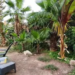 2 *