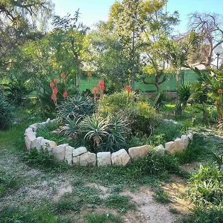 Villa 2 San Vicente Raspeig