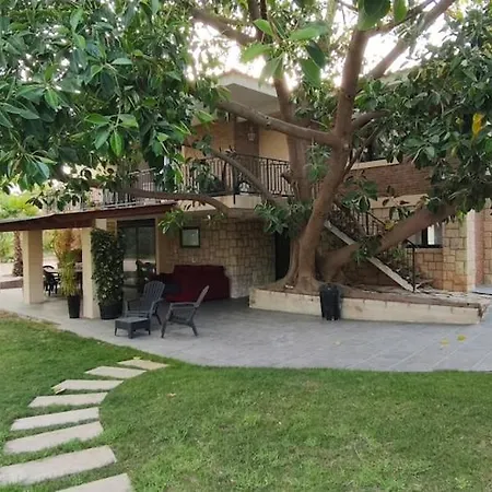 2 Villa San Vicente Raspeig