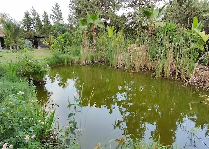 2 Villa San Vicente Raspeig