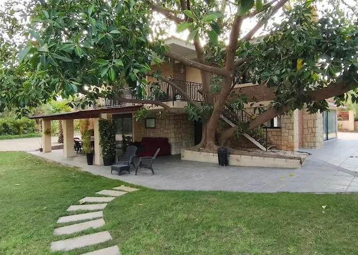 2 Villa San Vicente Raspeig